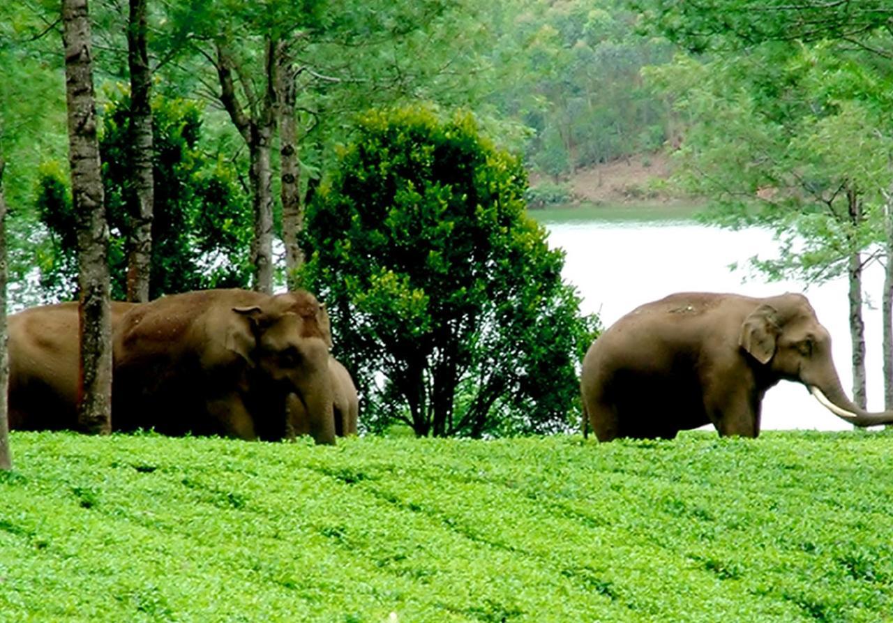 Viduthi Homestay Munnar Exterior photo